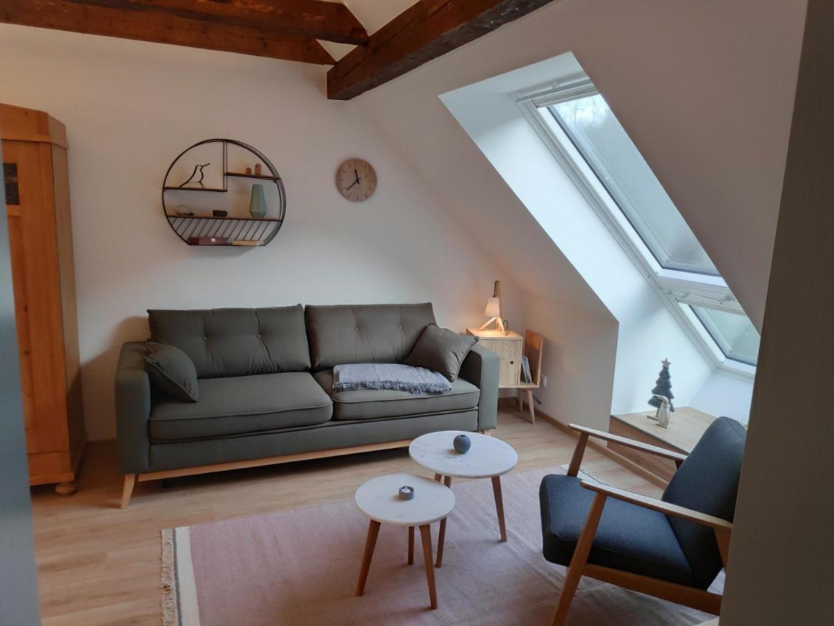 Meisdorf Thalmuehleアパートホテル 部屋 写真