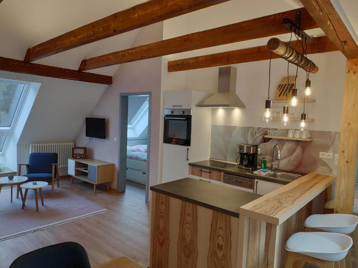 Meisdorf Thalmuehleアパートホテル 部屋 写真