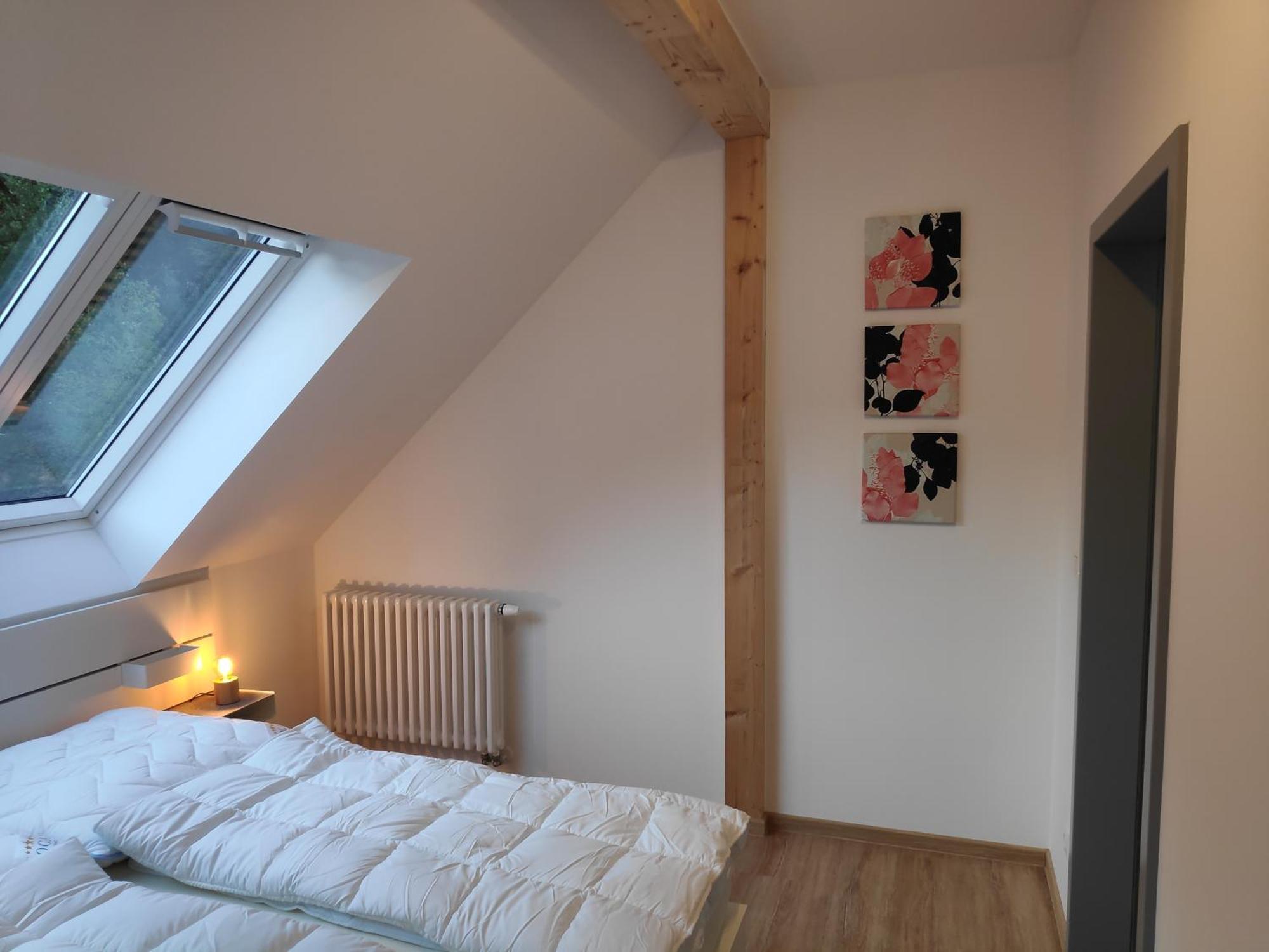 Meisdorf Thalmuehleアパートホテル 部屋 写真