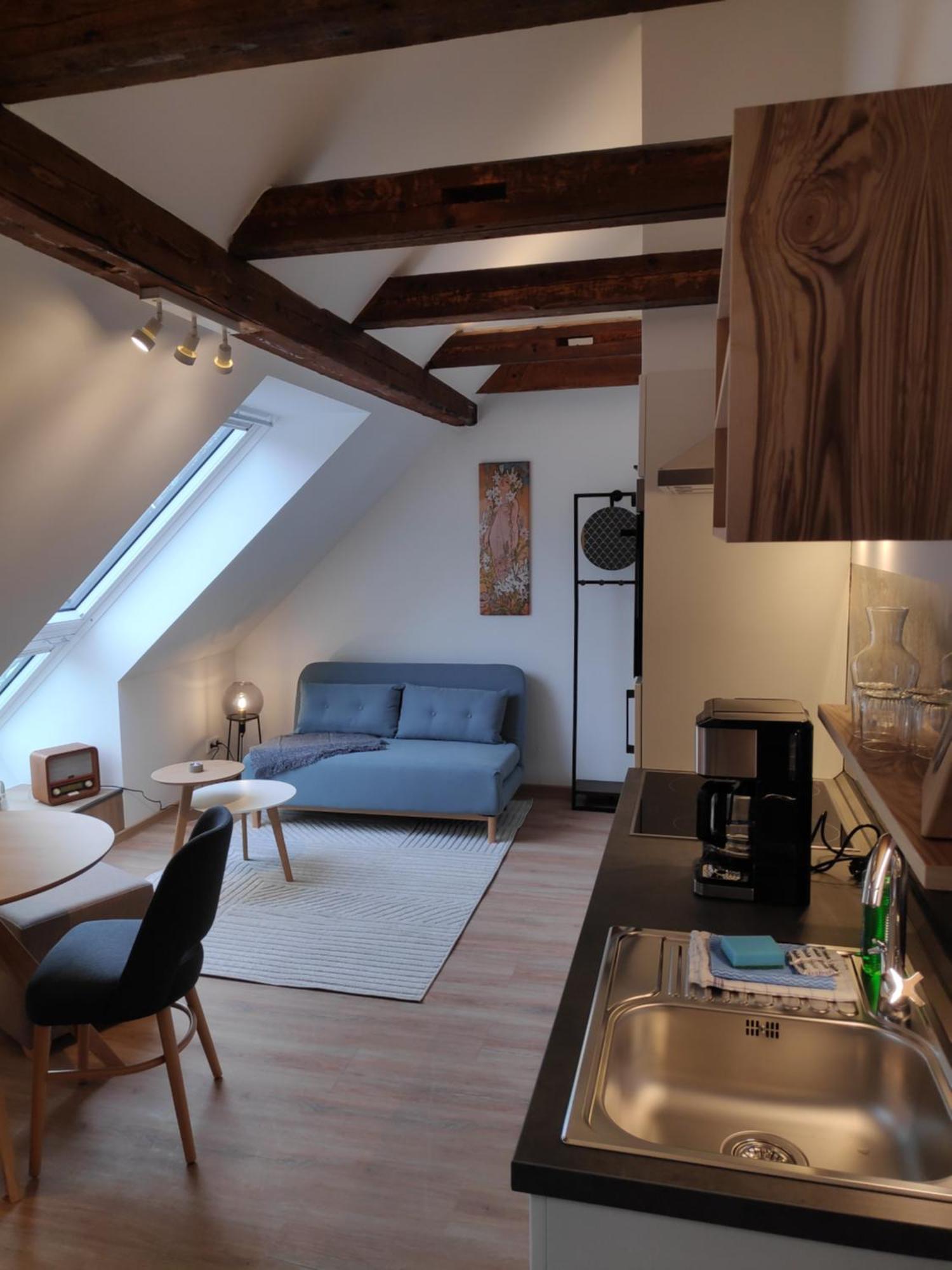 Meisdorf Thalmuehleアパートホテル 部屋 写真